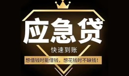 成都2024小时上门放款-成都20私人借钱怎么收费-成都20借钱