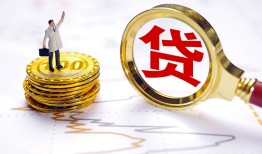 成都20个人小额贷款-成都20哪里有小额贷款-成都20民间借贷无抵押