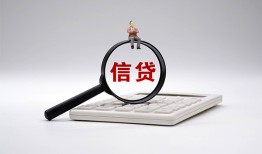 成都20个人抵押贷款-成都20哪里可以民间借贷-成都20快速小额贷款
